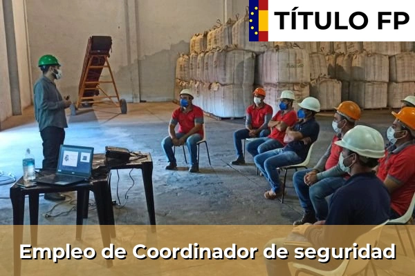 Empleo de Auditor de seguridad 303 Empleo de Coordinador de seguridad