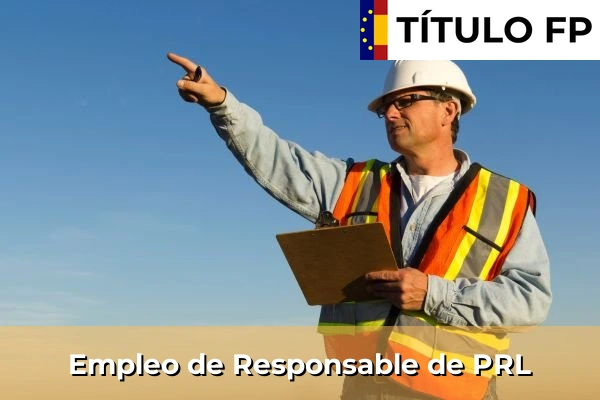 Empleo de Auditor de seguridad 305 Empleo de Responsable de PRL