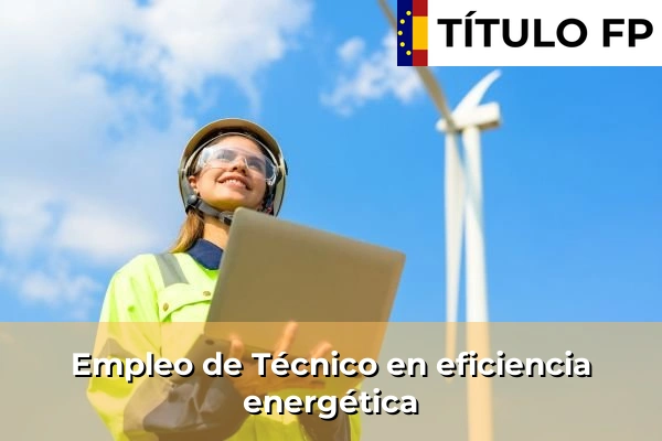 Empleo de Auditor energético 306 Empleo de Técnico en eficiencia energética