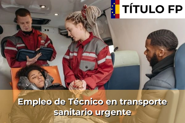 Empleo de Asistente en servicios de protección civil 311 Empleo de Técnico en transporte sanitario urgente