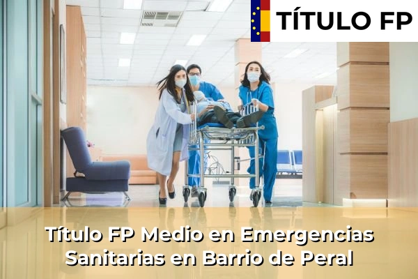 Título FP Medio en Emergencias Sanitarias en Murcia 11 Título FP Medio en Emergencias Sanitarias en Barrio de Peral