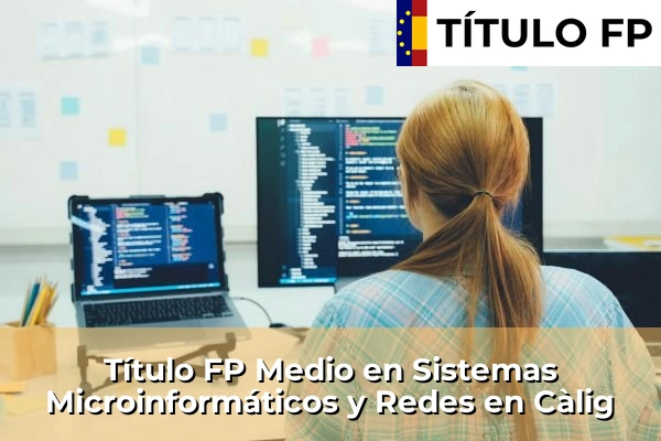 Título FP Medio en Sistemas Microinformáticos y Redes en Càlig