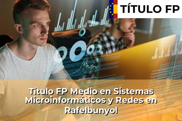 Título FP Medio en Sistemas Microinformáticos y Redes en Rafelbunyol