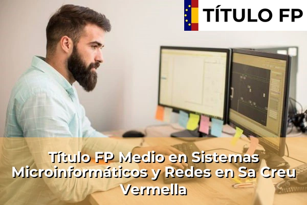 Título FP Medio en Sistemas Microinformáticos y Redes en Sa Creu Vermella