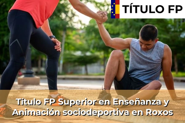 Título FP Superior en Técnico Superior en Enseñanza y Animación sociodeportiva en Roxos
